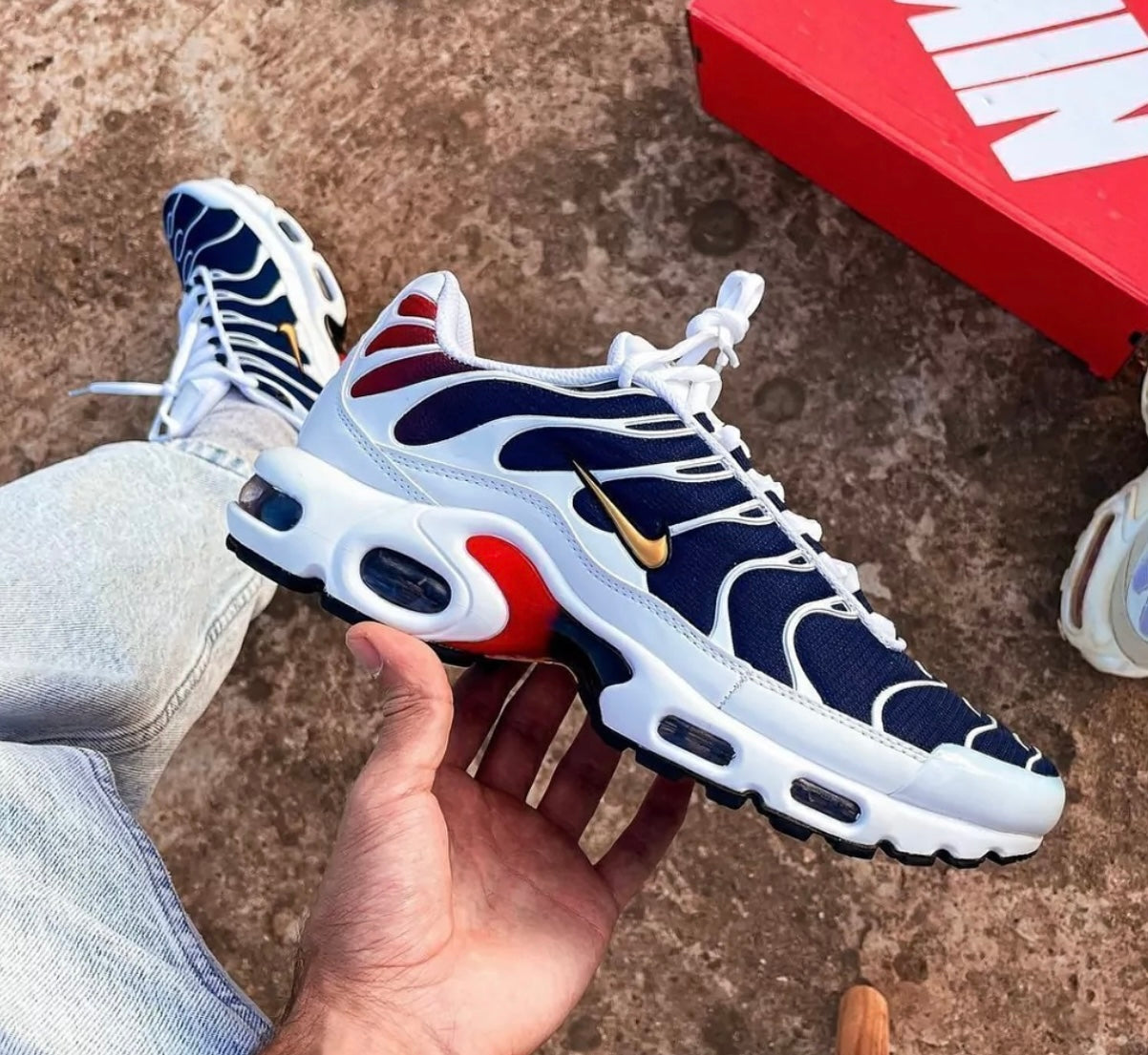 Nike Air Max TN PSG